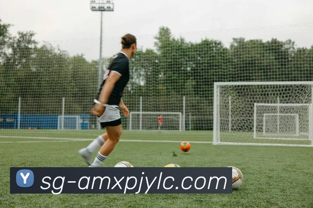 新葡京娱乐发展历程